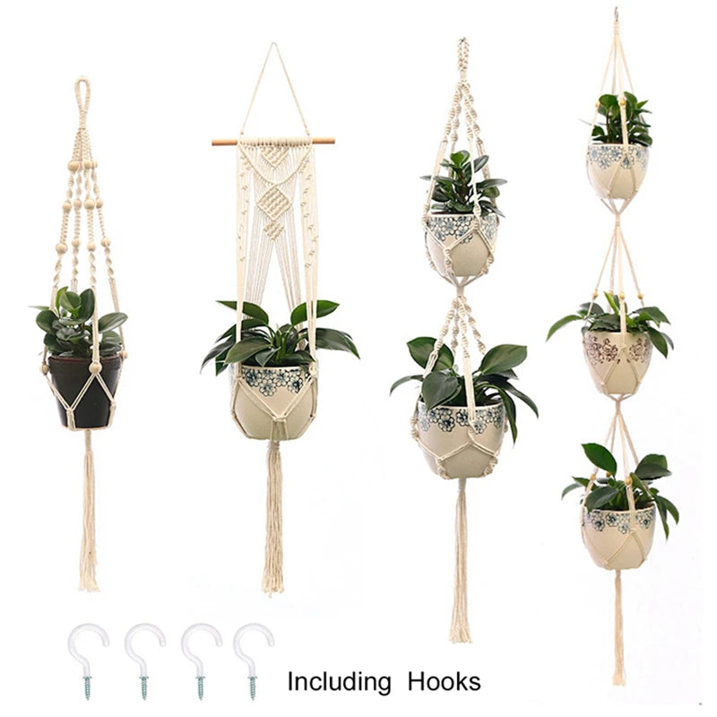 Cotton plant hanger