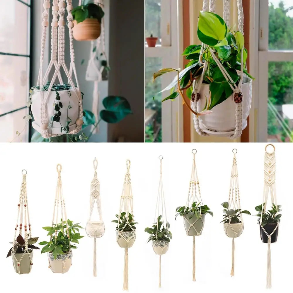 Cotton plant hanger