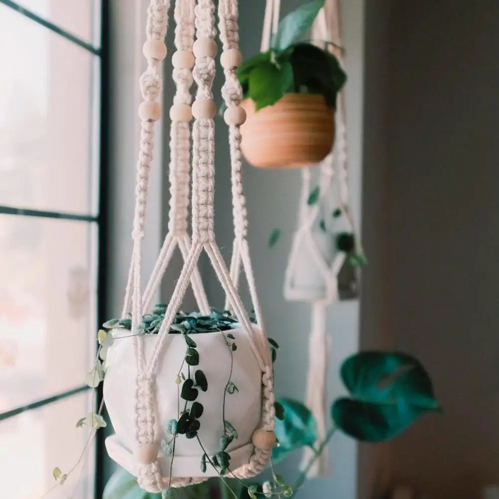 Cotton plant hanger