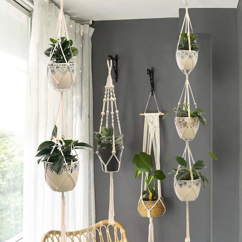 Cotton plant hanger
