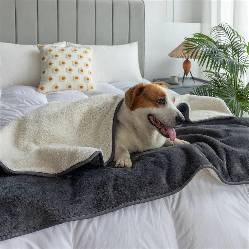 Waterproof blanket for dogs and cats