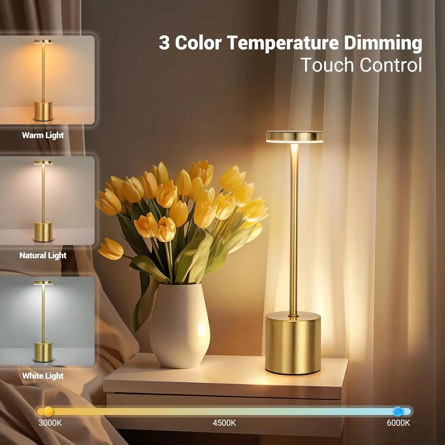 Rechargeable LED table lamp with touch control