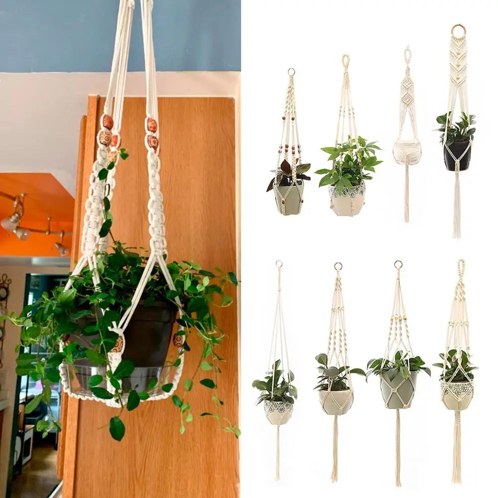 Cotton plant hanger