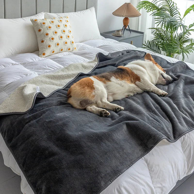 Waterproof blanket for dogs and cats