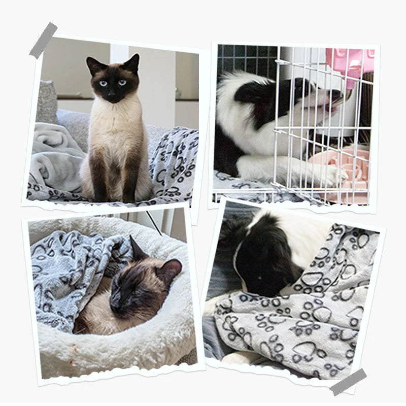 Soft animal blanket with cartoon pattern