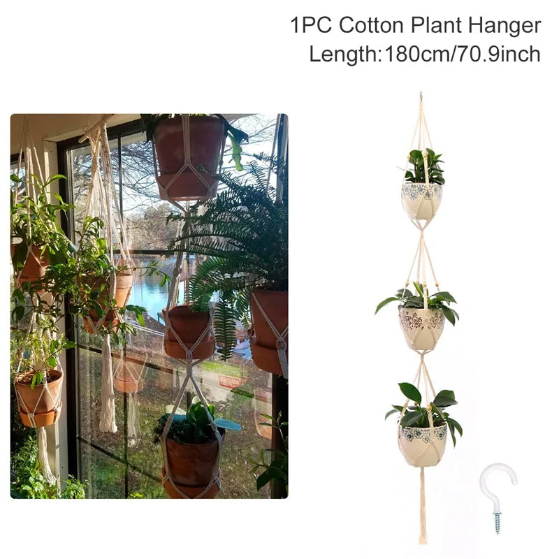 Cotton plant hanger