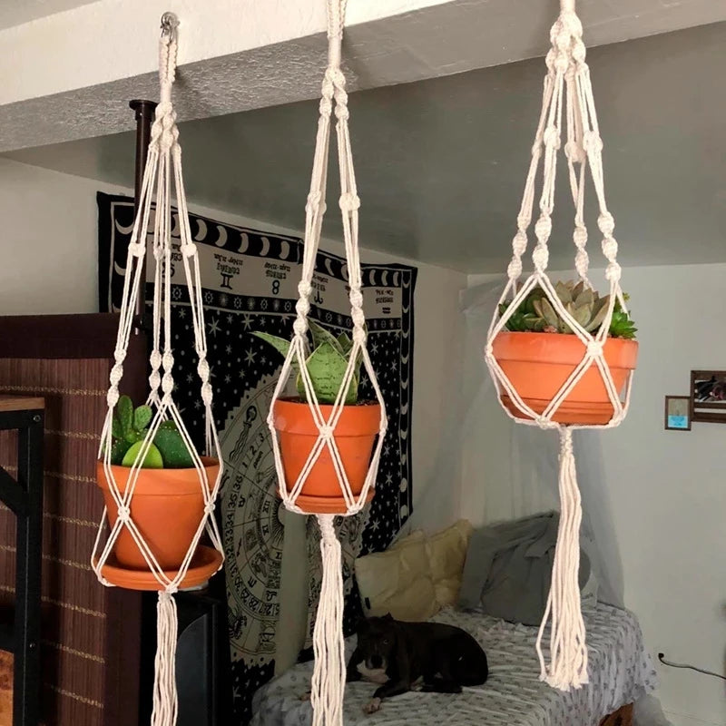Cotton plant hanger