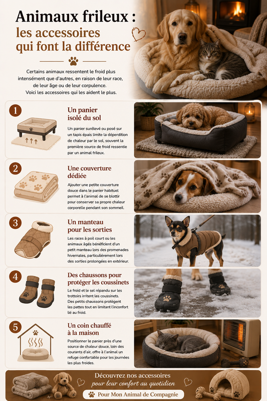 Quels accessoires cocooning pour un animal frileux ?